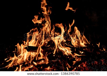 Amazing fire camp at night with black background. Authentic fire with warm colors. Wild fire. 