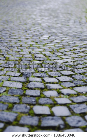 Paving stones in the old European city.