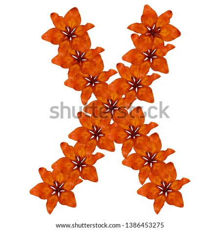 Letter X made from orange flowers, alphabet on isolated white background