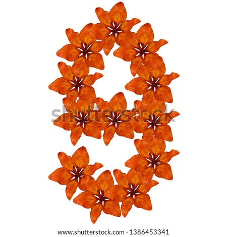 Number 9 made from orange flowers, alphabet on isolated white background