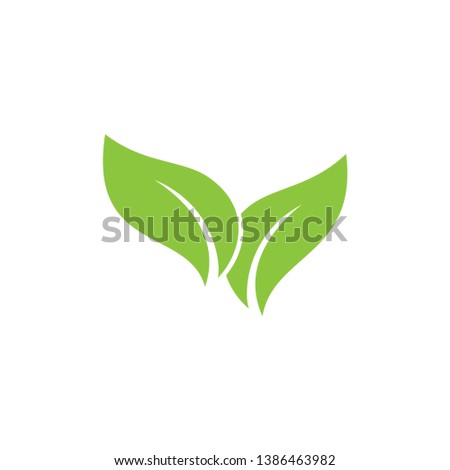green leaf icon design concept
