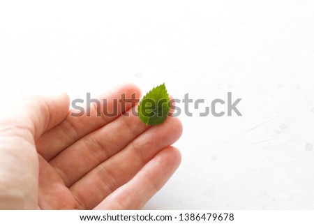One green leaf lies on a hand, on a gray concrete background. Ecology, healthy food. Flat Lay, Top View, Copy Space For Your Text.