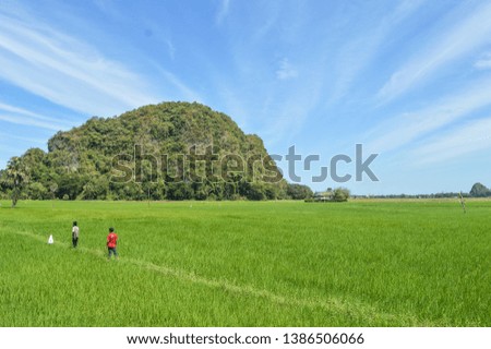 Green terraced field with light ray, mountain and cloud