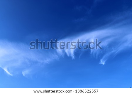 Beautiful cirrus clouds in natural cloud formations in a deep blue sky seen in northern germany