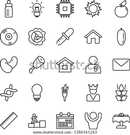 thin line vector icon set - calendar vector, yardstick, feeding bottle, house, dwelling, bulb, chicken thigh, mint, squash, apricot, date fruit, beans, cpu, cd, mail, dna, pipette, flame torch, king