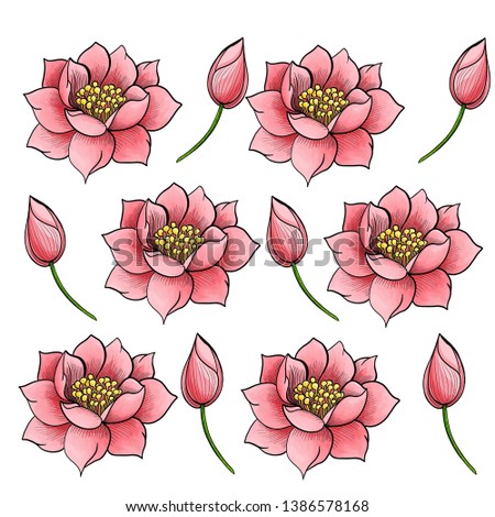 Pattern flower illustration pink background 