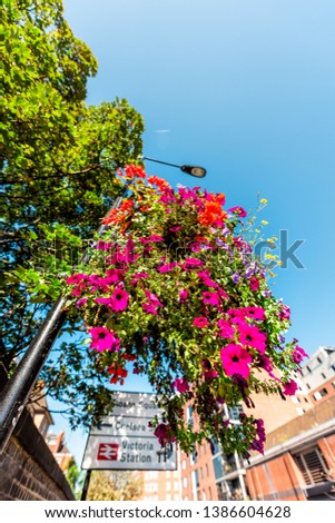 London, UK hanging flower basket on lamp post or pole closeup with nobody in Victoria or Pimlico on sunny summer day and direction signs