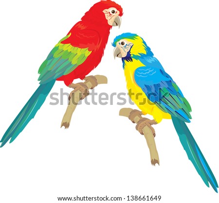 Blue Yellow and Red Blue Macaw parrots isolated on white background. Raster version