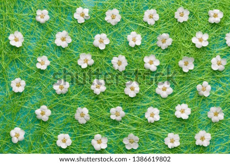 white flowers on green background. Blooming concept. Flat lay. 