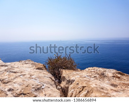 View from the island of Benidorm, Spain. Image of the view from the top with all the Mediterranean sea in the background and low scrub and rock in the foreground.