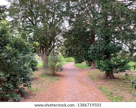 Pathway leading through a woodland area