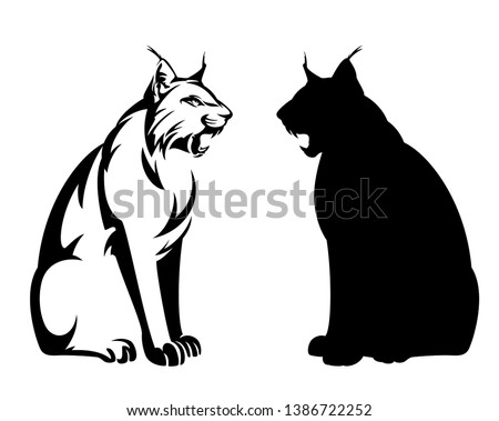 wild lynx vector design set - roaring animal black and white vector outline and silhouette