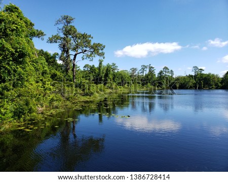 Scenic lake in Florida wilderness hiking area