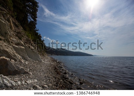 high rocky seashore with trees growing on the cliff by the water, beautiful southern nature during the summer holidays, landscape with wind-speckled furrows of limestone deposits and rocky beach