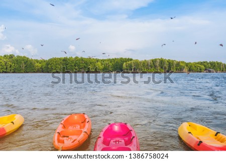 Beautiful scenery of the red hawks while flying to find food with kayaks floating in the sea at Bang Chan village (The No-Land Village) in Chanthaburi, Thailand