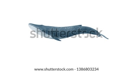Blue whale. Isolate on white background Royalty-Free Stock Photo #1386803234