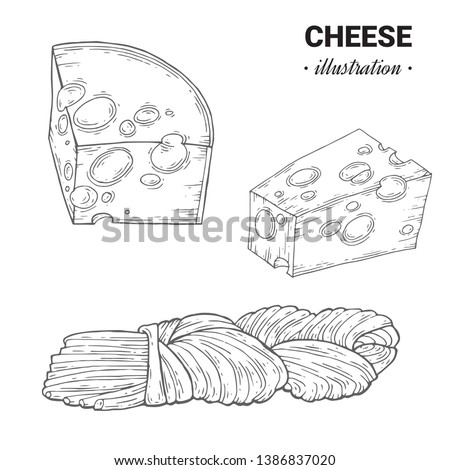Cheese slice organic milk butter fresh food vector hand drawn illustration, menu label, banner poster identity, branding. Stylish design with sketch illustration of Cheese variations cuisine sketch