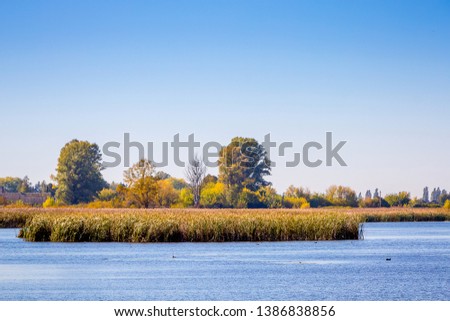 River with thickets of cane and trees under the blue sky
