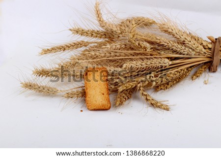rusk and wheat - Image