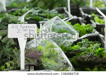 Variety of leafy greens in plastic bags at an outdoor farmers market
