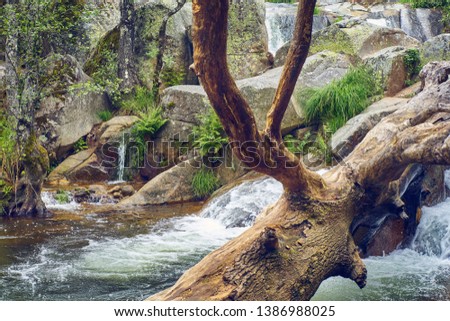 River landscape with waterfall and a fallen tree trunk inside the water