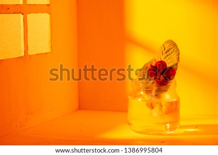 A small red flower "Tropaeolum" and a green leaf in a transparent jar with water. Close-up. Orange background, sunset.