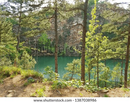 photo taken at pinnacle mountain in the woods. hiking picture. green trees and pond in the background. little rock, Arkansas.