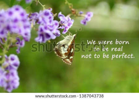 Inspirational motivational quote- we were born to be real, not to be perfect. With batik butterfly hanging on blurry purple flowers and soft bokeh green color background. Words of wisdom with nature.