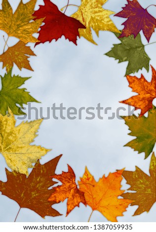 Colorful autumn leaves border with pale blue background
