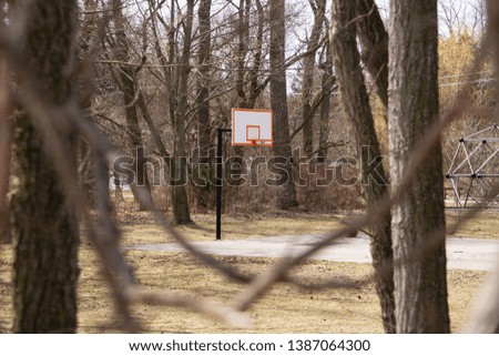 Basketball court in the middle of the woods