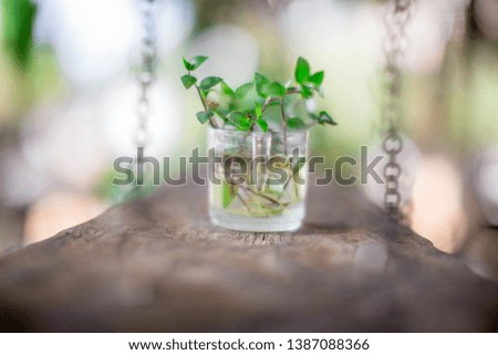 Blurred background of small glass that is decorated on wooden floors, interior decoration (restaurant, coffee, bakery, cake) for customers to take pictures while entering the shop