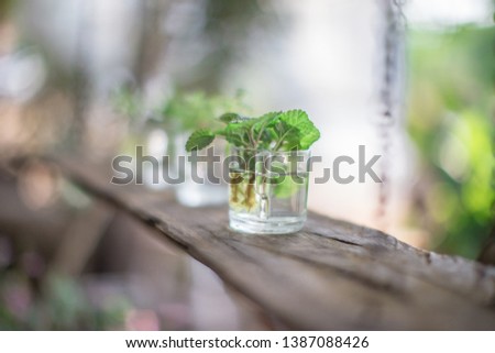 Blurred background of small glass that is decorated on wooden floors, interior decoration (restaurant, coffee, bakery, cake) for customers to take pictures while entering the shop