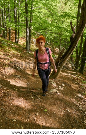 Woman hiking on mountain trail through beech forest