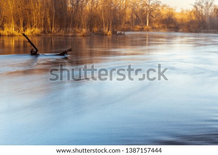 A fast river with a beautiful spring view, a snag from under the water and abundant vegetation give the photos a special impression