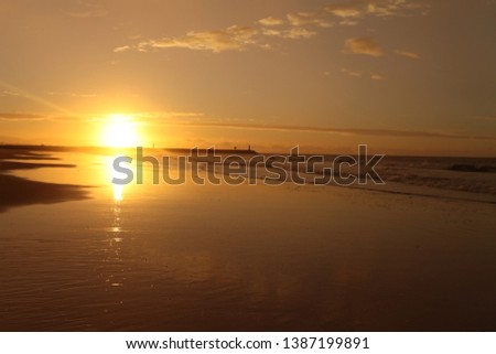Golden sunrise reflections on wet sand at Vilamoura beach, Algarve, Portugal