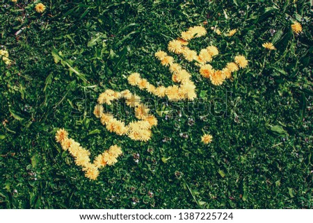 Unique love word dandelion lettering with flowers over green blossom field. Flat lay top view phrase for travel and emotional inspiration, social media