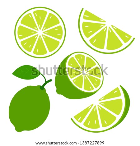 
Lime fruits with slices and leaves on white background. Vector graphic design elements. - Vector Royalty-Free Stock Photo #1387227899