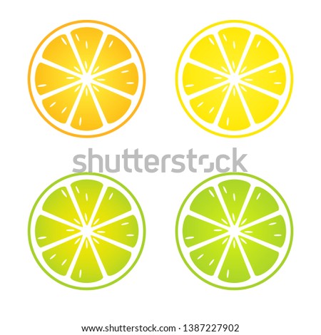 Vector set of lemon, orange, lime on white background. - Vector
