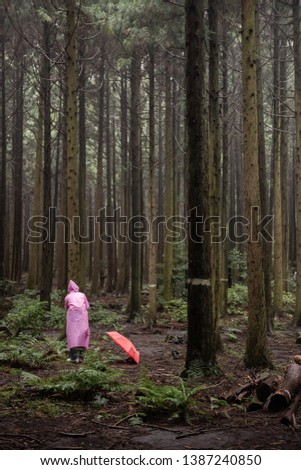 A woman is wearing a raincoat in the forest and is taking pictures.