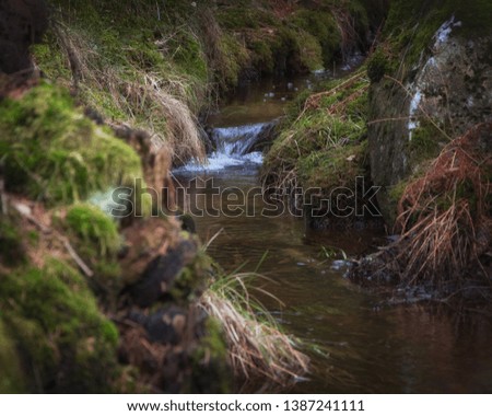 Stream in forest surrounded by moss
