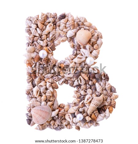 Letter B made of tiny seashells. Isolated.