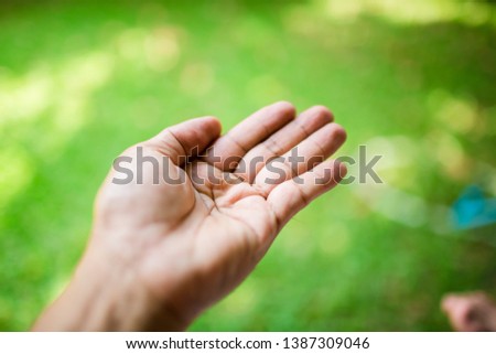 Man hand isolated on blurry green background, picture of Men hand showing the Face up in front side over green background, Hand symbol showing invitations, left hand man.