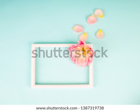 Blank photo frame and white tulip over blue background.