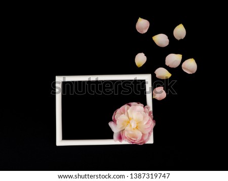 Blank photo frame and white tulip over black background.