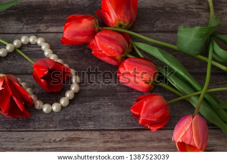 still life with spring tulips
