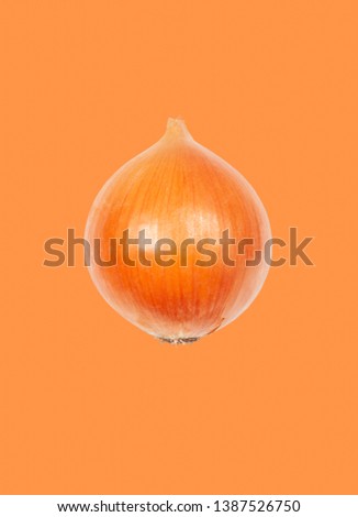 Fresh onion levitate in air on orange background. Concept of vegetable levitation.