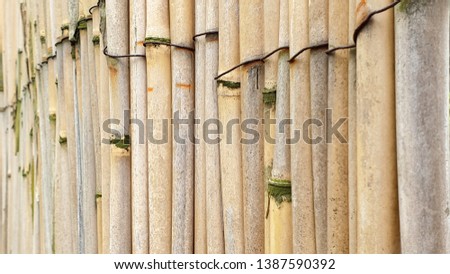 Bamboo sticks tied up, close up