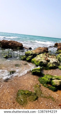 Amazing cvertical seascape of blue water and green field rocks