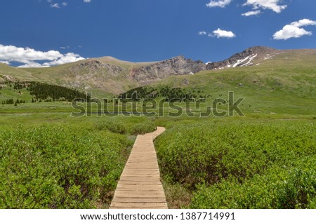 wooden walkway in willow bushes on Bierstadt trail in Rocky Mountains (Clear Creek County, Colorado, USA)