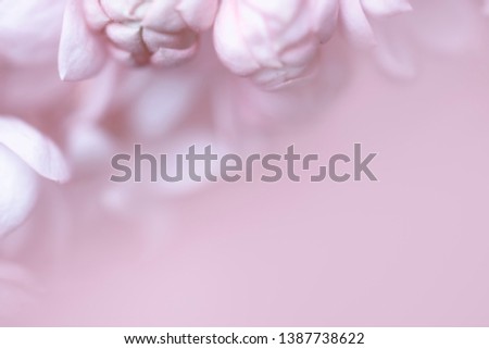 Blurred pastel background with flowers.